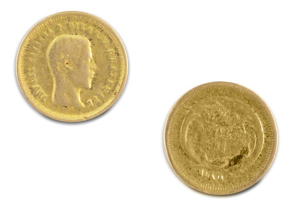 Immagine aggiuntiva 1