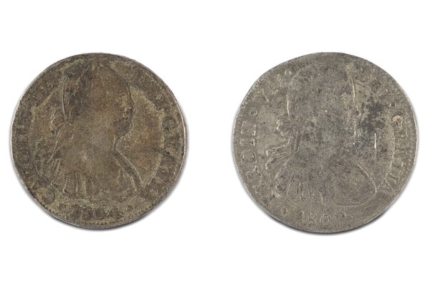 Immagine aggiuntiva 1