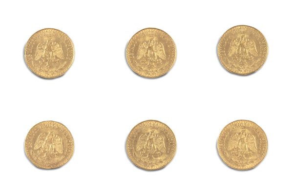 Immagine aggiuntiva 2