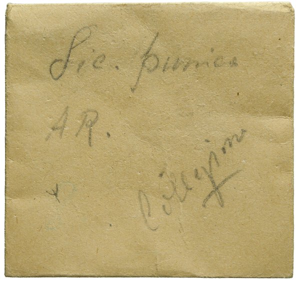 Immagine aggiuntiva 1