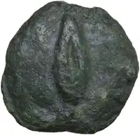Reverse image