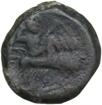Reverse image