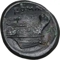 Reverse image
