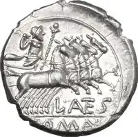 lot 325