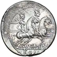 lot 339