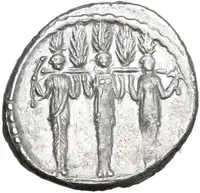 lot 501
