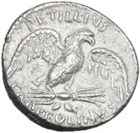 lot 502
