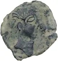 lot 5