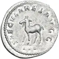 lot 636