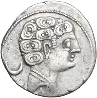 lot 7