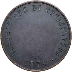 reverse: Medaglia 1878 per l esposizione di orticultura in Varese in occasione della VII riunione straordinaria della Società Italiana di Scienze Naturali