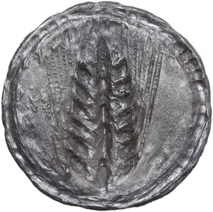 reverse: Southern Lucania, Metapontum. AR Stater, c. 540-510 BC
