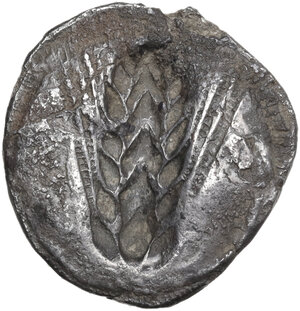 reverse: Southern Lucania, Metapontum. AR Stater, c. 510-470 BC