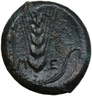 reverse: Southern Lucania, Metapontum. AE Obol, c. 400-350 BC
