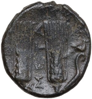 reverse: Southern Lucania, Metapontum. AE 17.5 mm, c. 225-200 BC