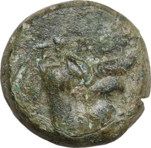 obverse: Bruttium(?), Breig. AE 18 mm. (Hemiobol?), c. 340-320 BC