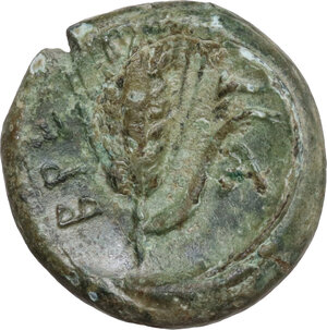 reverse: Bruttium(?), Breig. AE 18 mm. (Hemiobol?), c. 340-320 BC