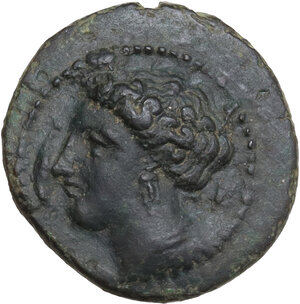 obverse: Syracuse.  Agathokles  (317-289 BC).. AE 18 mm, c. 317-310 BC
