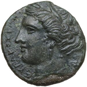 obverse: Syracuse.  Hieron II (275-215 BC).. AE 19.5 mm, c. 275-269 BC