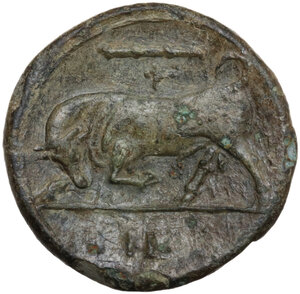 reverse: Syracuse.  Hieron II (275-215 BC).. AE 19 mm, c. 275-269 BC