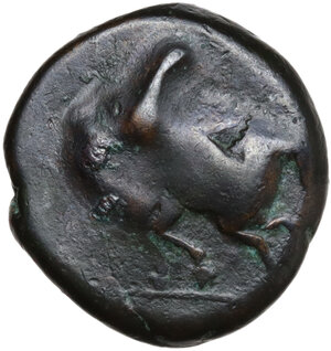 reverse: AE 17 mm., c. 350/40-320/300 BC. Overstruck on Triptolemos/Horse left AE