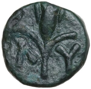 reverse: Thrace, Lysimacheia . AE 10 mm, c. 3rd Century BC