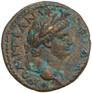 obverse: Domitian as Caesar (69-81).. AE Semis. Antioch mint (Seleucis and Pieria)