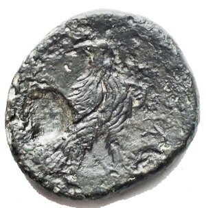 reverse: Mondo Greco - MAKEDONIEN. PAROREIA. AE (7,31g). ca. 185 - 168 n. Chr. Vs.: Zeuskopf r. Rs.: Zurückblickender Adler zwischen zwei Monogrammen. RR. ss