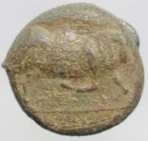 reverse: Mondo Greco .Apulia Arpi (Circa 275-250 a.C.) AE 17,9 x 18,6 mm. D/ Toro cozzante a destra. R/ Cavallo al galoppo a destra. 7,35 gr. HN Italy 645. BB. Patina verde marrone
