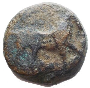 obverse: Apulia Salapia (Circa 275-270 a.C.) AE 19mm. D/ Cavallo a destra. R/ Delfino a sinistra. AE, 7.21gr. HN Italy 685. RR. qBB