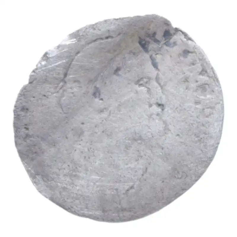Dritto moneta