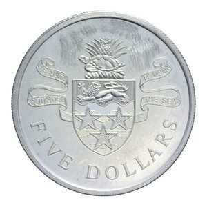 Reverse image