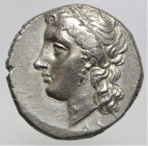 obverse: metaponto statere 