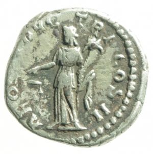 reverse: denario pertinace