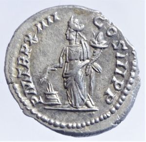 reverse: settimio severo denario