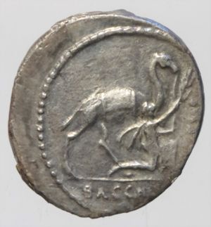 reverse: plautia denario