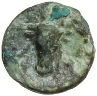 Reverse image