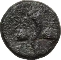 Reverse image