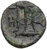 Reverse image