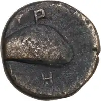 Reverse image