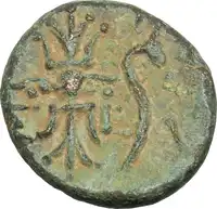 Reverse image