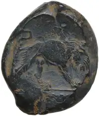 Reverse image