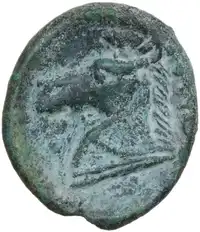 Reverse image