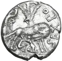 Reverse image