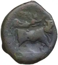 Reverse image