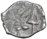 Reverse image