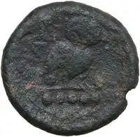 Reverse image