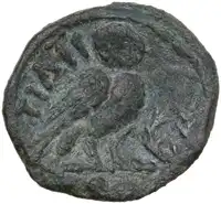 Reverse image