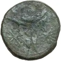 Reverse image