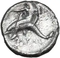 Reverse image